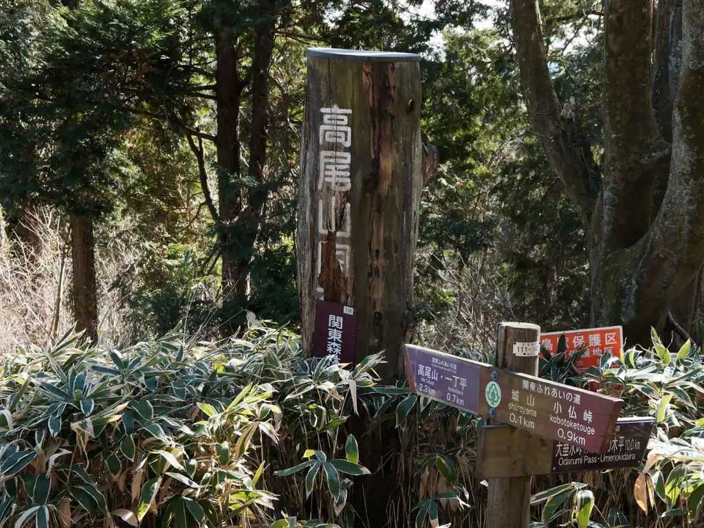 そこそこ長かった縦走コースも終わりが近づいております。

YAMAPの標準コースタイムでは京王線の高尾山口駅到着が17時とかになりそうだったので早めのペースで歩いてきたけど、もうちょっとゆっくりでも良かったな。