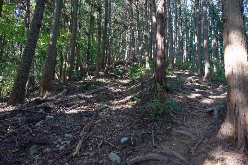 先程の急登を登りきってまた急登。
ふ～なかなかきついぞ。