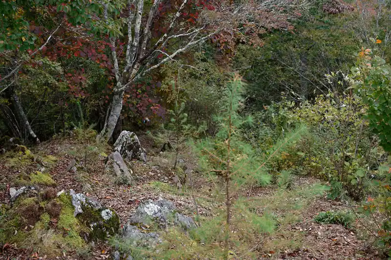 わかりづらいが奥に登山道が続いているらしい。面倒なので私は行かなかったが…。