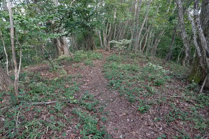 そのまま松生山方面へ歩いてみる。踏み跡がハッキリ見えて少し安心。