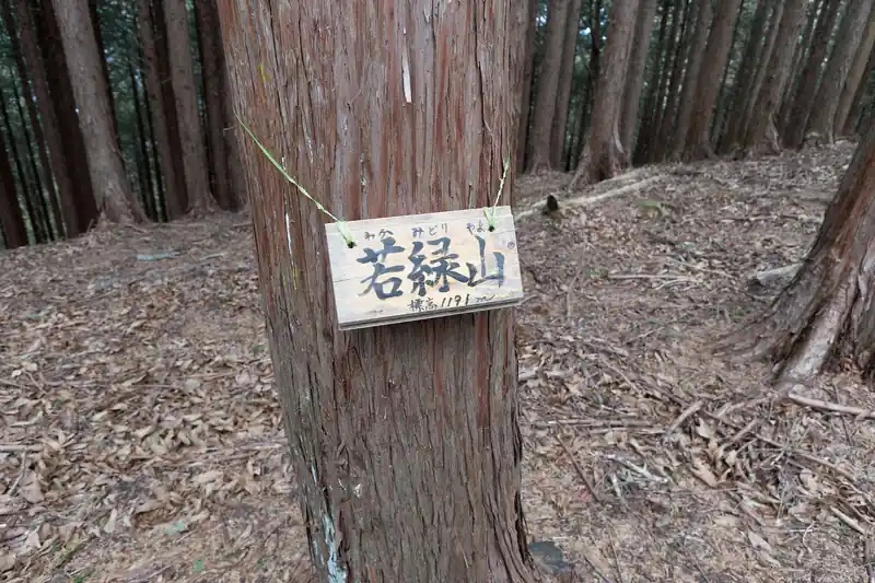 と若緑山の山頂。
山頂標があったので撮ったんですが、ここも湯久保山と同じで植林の樹林帯で何も無いピーク。