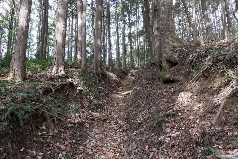 登っていく。やはりなだらかで歩きやすい尾根道。