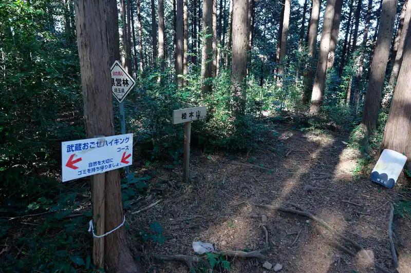 桂木観音横から再び登山道に戻って、大高取山まで歩く。
途中桂木山の山頂標があったが、ここも山頂感がなく、ただ尾根道という感じ。