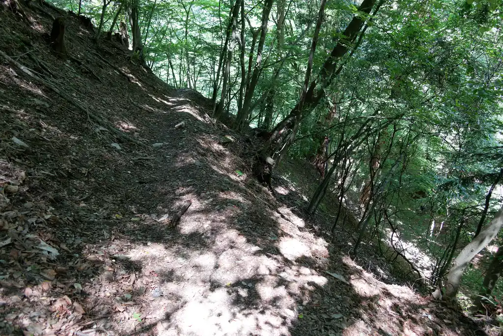 正直表参道なのでもっと整地されているのかと思いましたが普通に登山道でした。特に表参道はザレているところもあるので、ちゃんとした靴でないと怖い思いをするかもしれないな～と思いました。
下山途中、サンダルで歩いている一般人も見ましたが・・・。