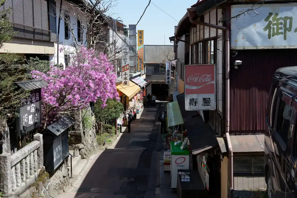 あとはケーブルカーの駅方面に町の中を歩いていきます。

食事処、お土産屋、甘味処、いろいろあって雰囲気が素晴らしい。今度はここでご飯も食べたいところ。

できれば宿坊も泊まってみたい。