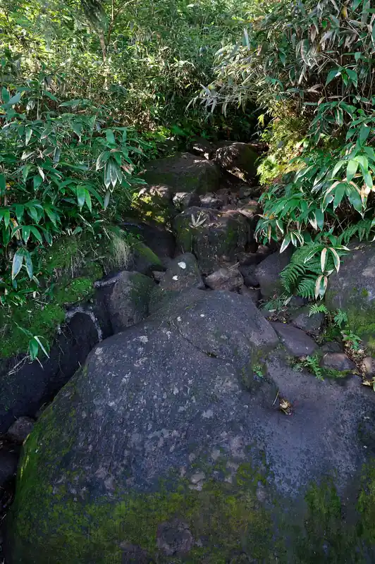 苔た石の道を歩き…