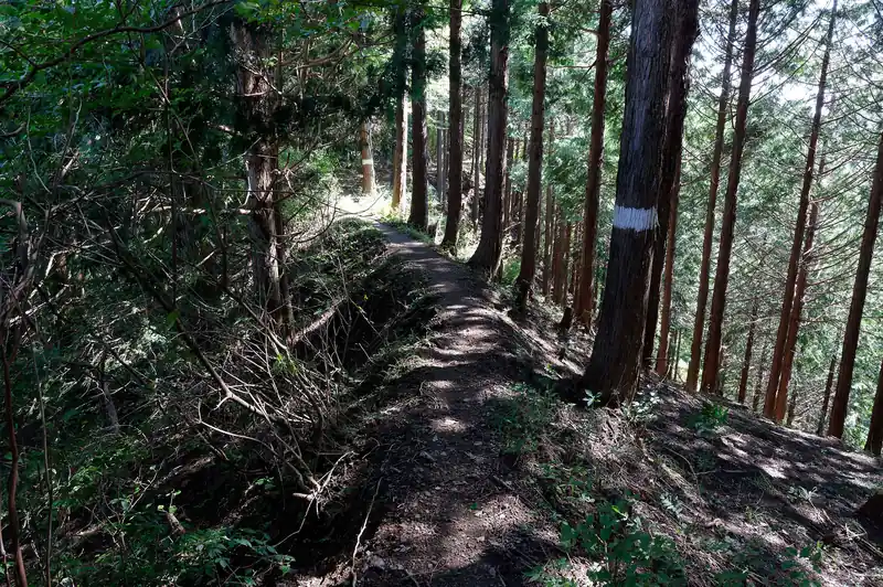 途中若干細めの道もあるものの、高度感がないため高所恐怖症の私でも問題なし。