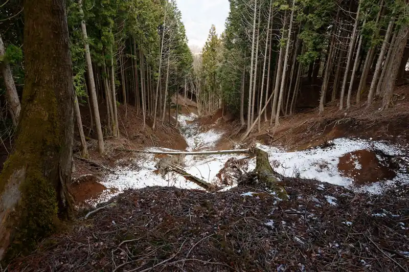途中大崩落地を横目に見つつ進む。
この先でロープが張られた急登があったが距離は短い。