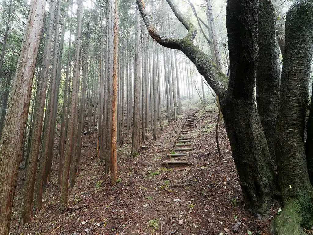 お次は馬頭刈山を目指します。早速きつそうな木段が・・・。
高明山は標高793m。一方の馬頭刈山は標高884m。約100mほど標高を上げる必要があります。