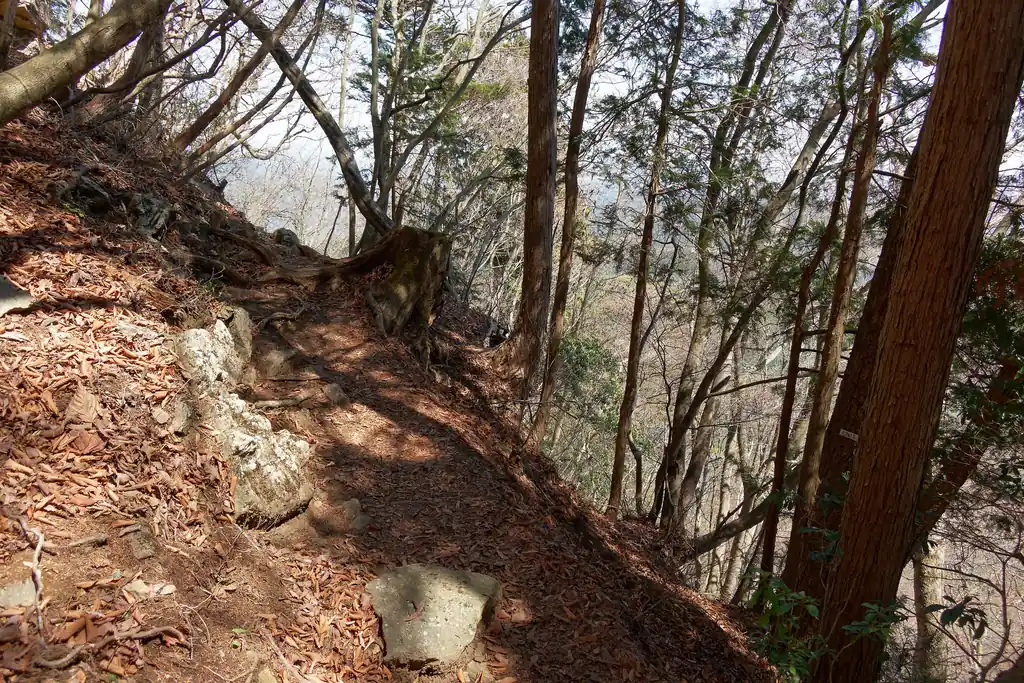 鍋割山から大岳山方面は結構幅広の道だったのに比べて、御岳山方面はちょっと不安定。

道幅も狭いしすれ違い難しいところも多いです。