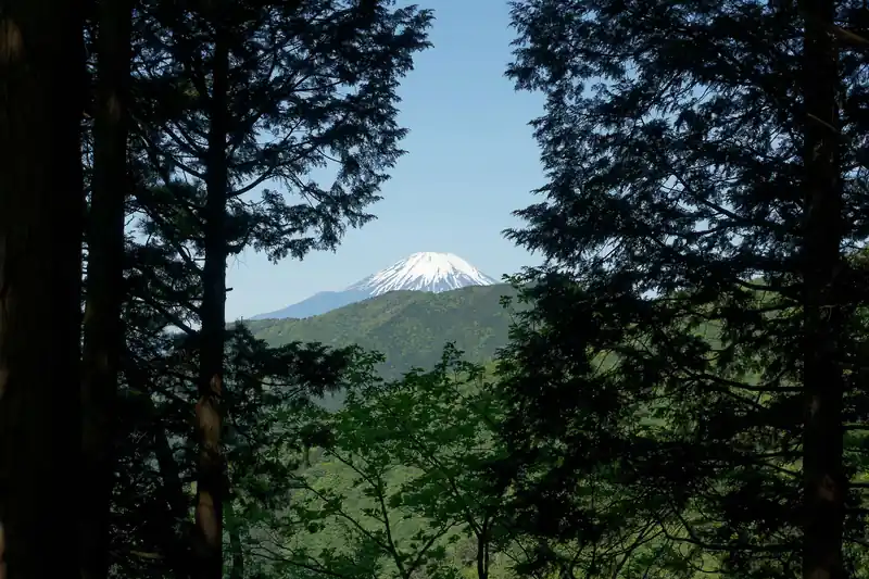 堀山の家から富士山。