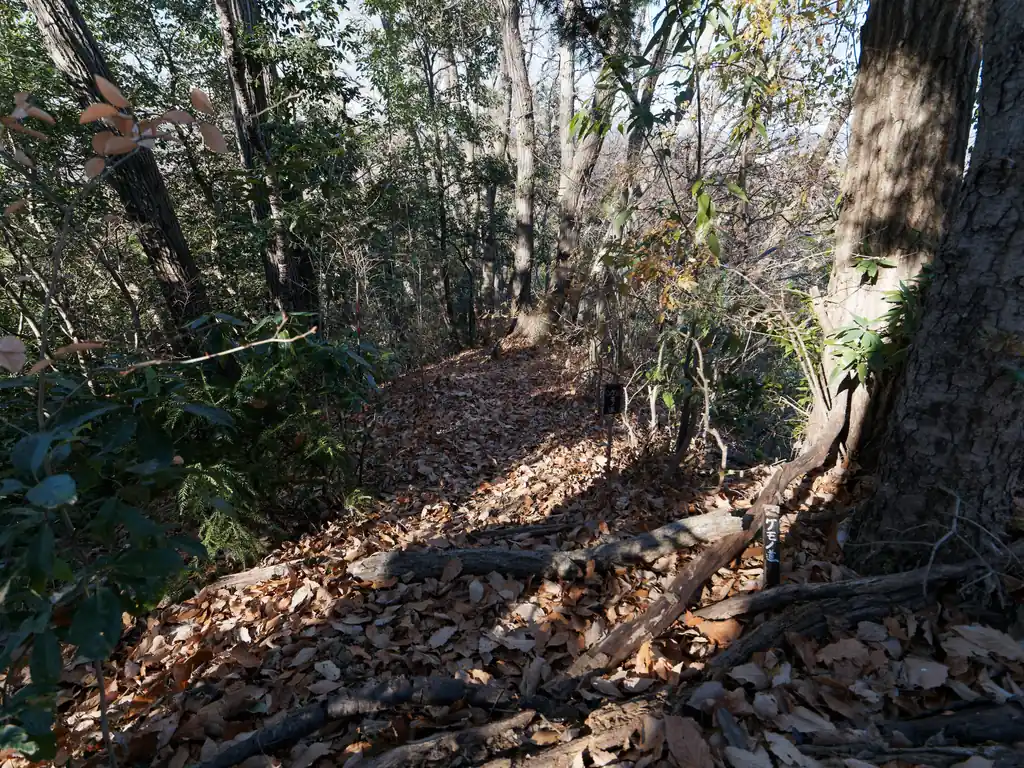 次のわかりにくいポイントは深沢山山頂の分岐。
ここも右下をよく見るとケモノ道とかかれている。