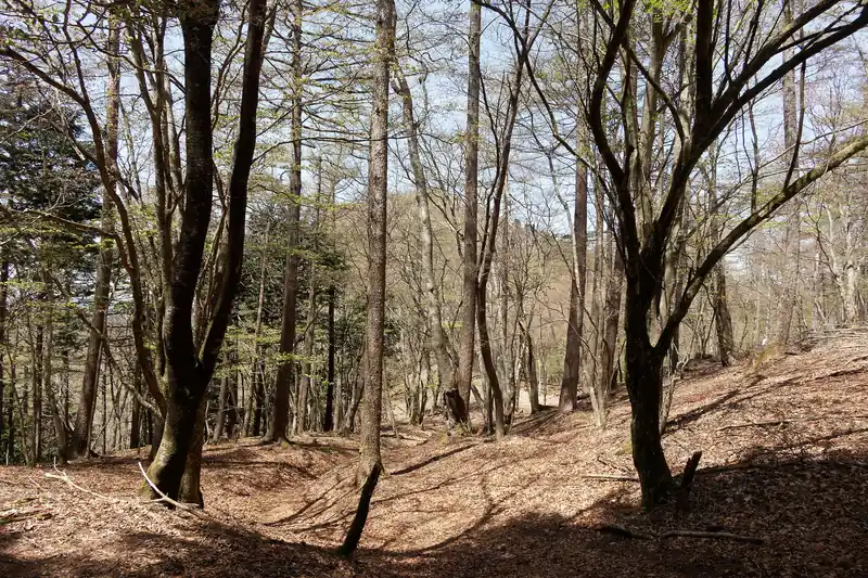 こっちは日蔭名栗山方面。
そのうち日蔭名栗山・高丸山も歩きたい。