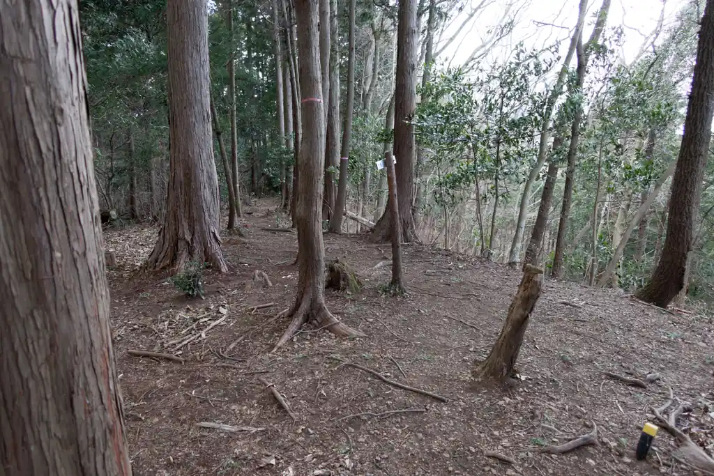 ここは見晴らしも何もない山頂です。