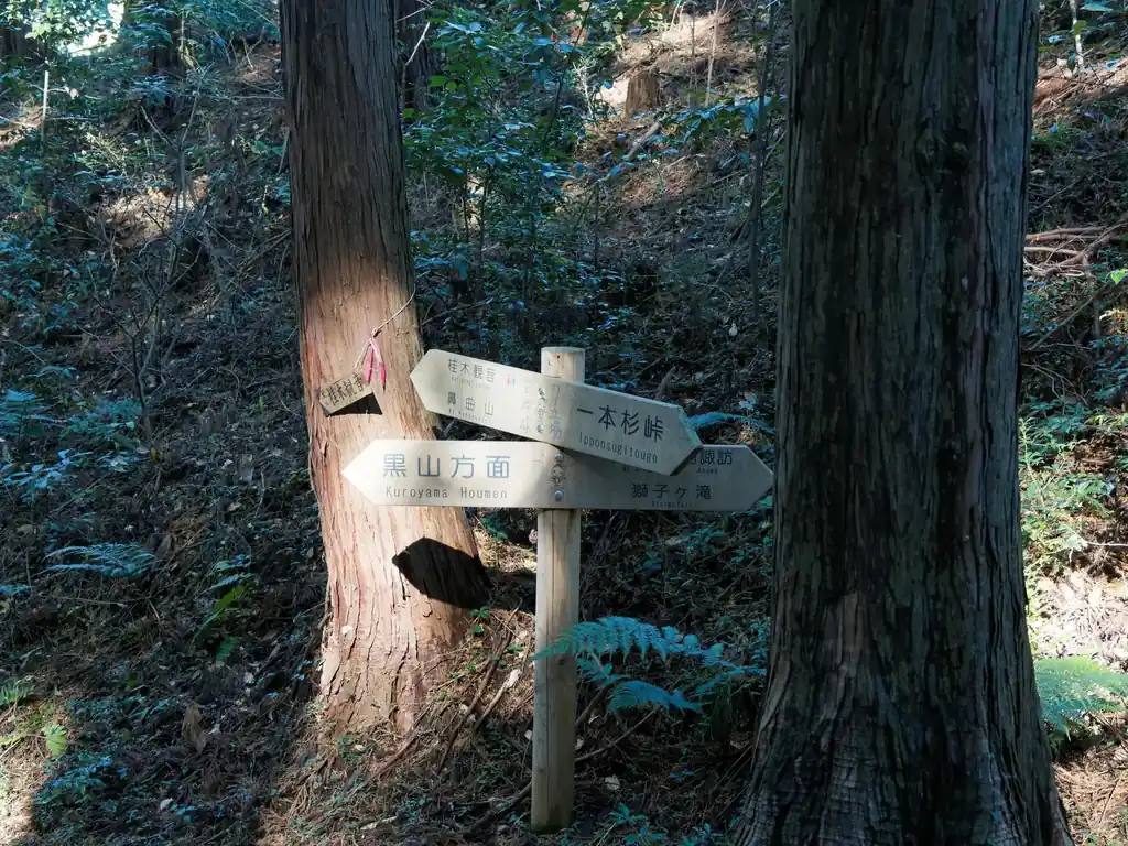 笹郷峠(貝立場)。昔はこの一本杉峠から桂木観音までの道はバリエーションルートだったようだが、2015年あたりに道標も立てられて、歩きやすいルートになったようだ。