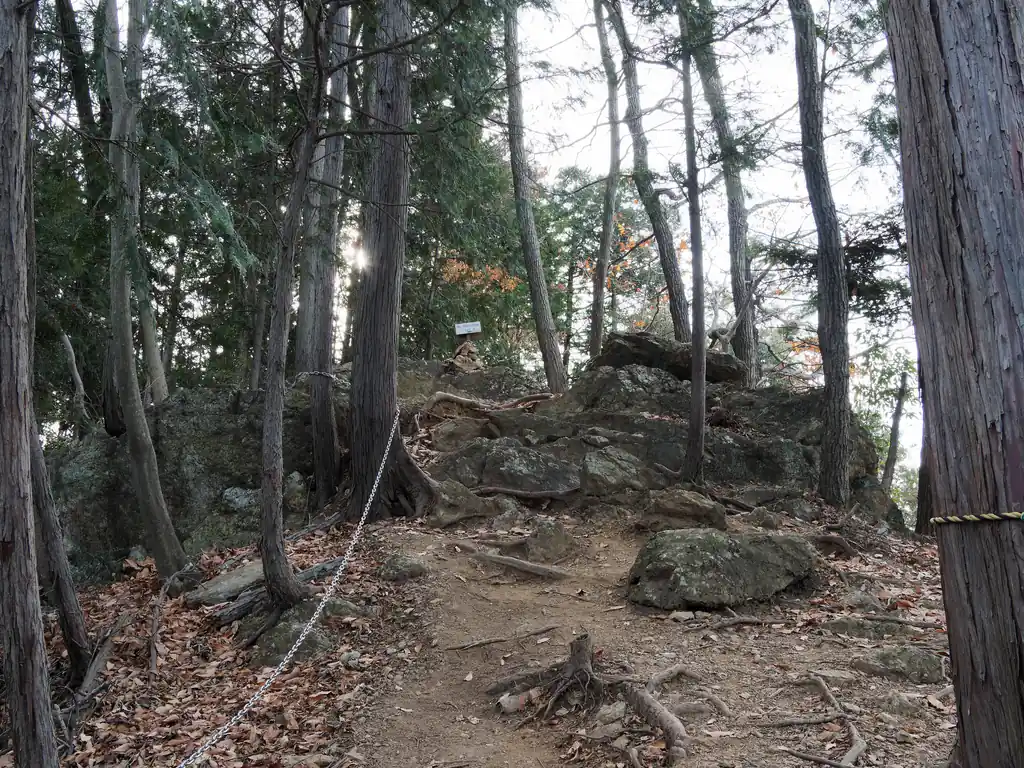 龍崖山から一度標高を落として、登り返すと燧山。
写真は少し岩っぽい見た目ではあるものの、岩場はなく、高度感もない。