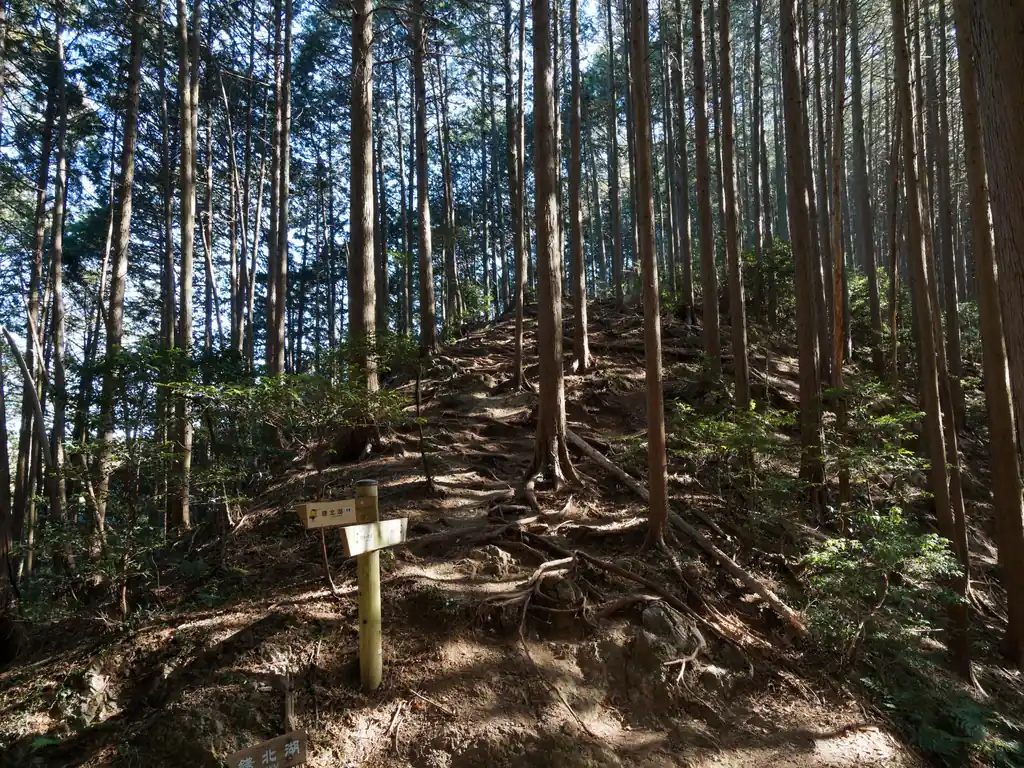 エビガ坂を直進して進むと鎌北湖とスカリ山分岐。
今回はスカリ山方面へと進む。

鎌北湖は今時期だと特に見どころはないと思うが、春だと桜が咲いて綺麗だと思う。
よく池で釣りをしている人がいる。
