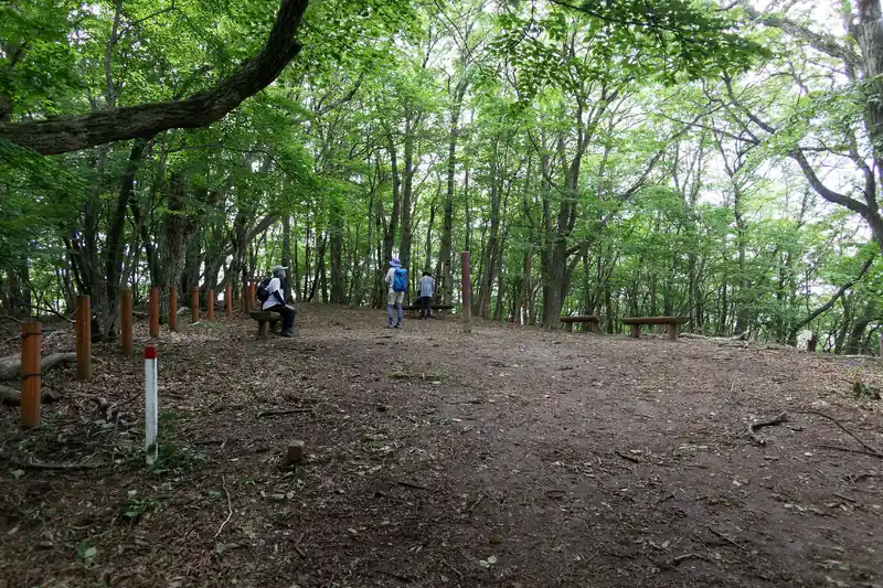 巨石の場所から登っていくと惣岳山。
山頂は樹林帯に囲まれており見晴らしはないが、ベンチがいくつかあり休憩している登山者は多い。
