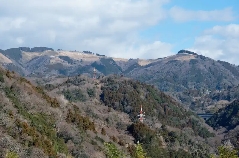 こっちはたぶん大野山。