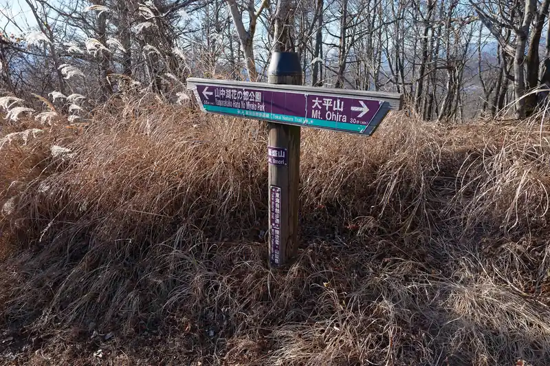 ようやく飯盛山に到着。といっても山頂はただの通り道という感じで山頂標がなければ素通りしてしまうでしょう。