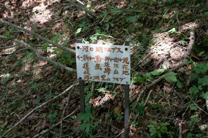 途中、分岐がありその道に入口に河口湖アルプスなる道標が立っていました。
気になりますねえ。今度歩いてみたいなあ。