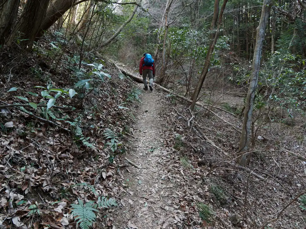 多峯主山・天覧山の登山道ってだいぶ整備されていて滅茶苦茶歩きやすいなだらかな道なんですが、ここだけは結構登山道です。

吾野駅からここまで歩いてきた身には超つらい。既に先行する登山者に大きく後れをとっています。もはや挽回不可。