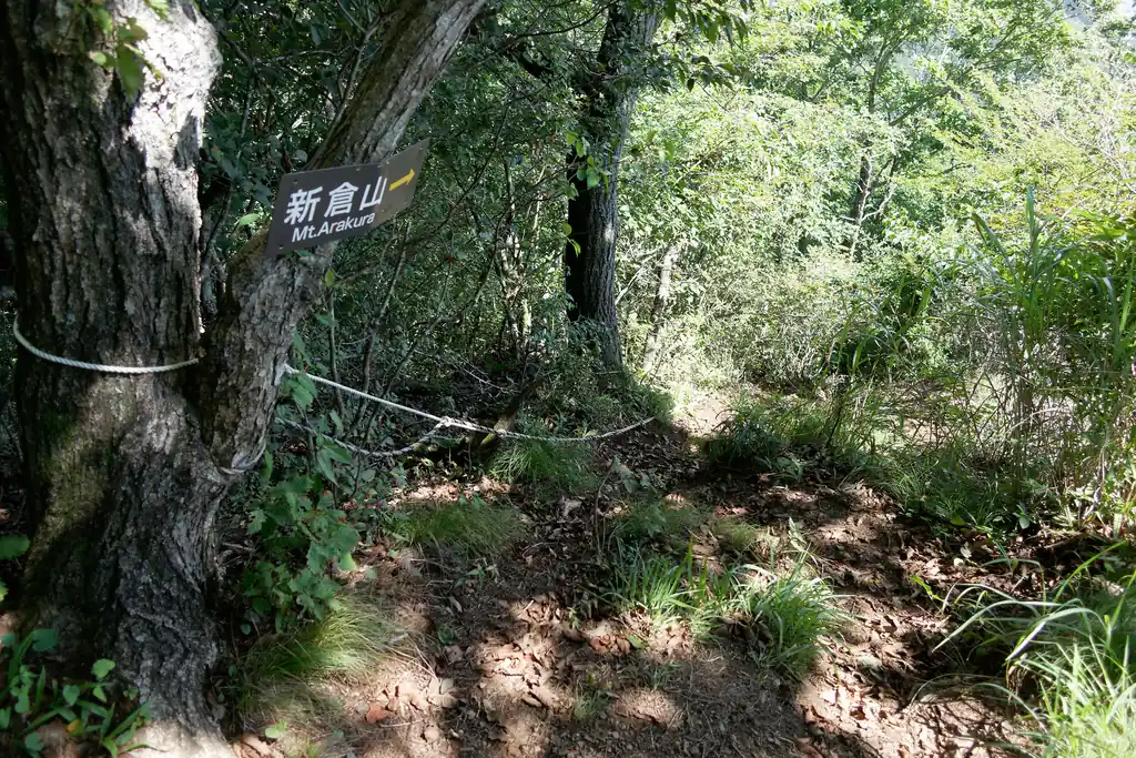 途中新倉山への分岐もあるんですが、ここはかなり斜度が大きく、下る方向にはなかなか怖いと思います。
ロープがあるからまだよいが…。エスケープルートとして使えないかな、と思っていたのですが、ちょっと怖いですね。