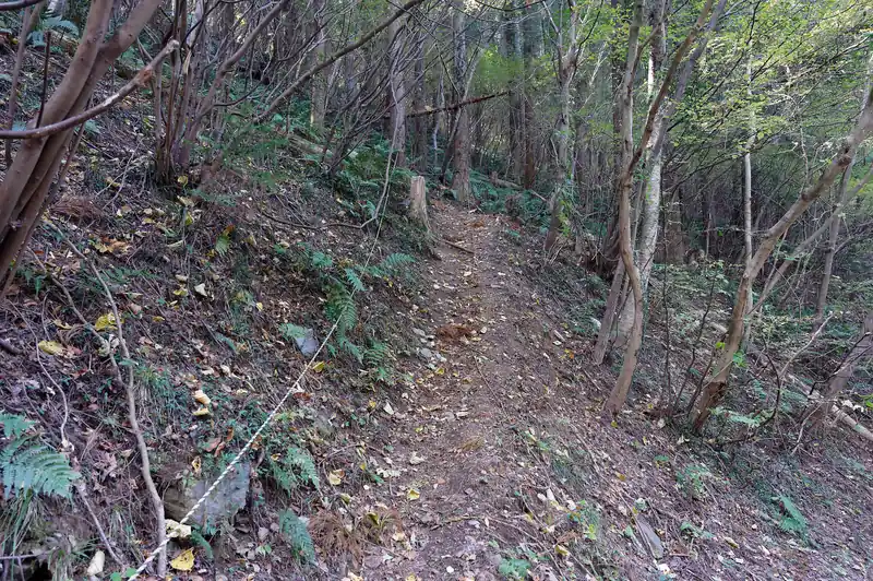 と思ったんですが、ロープもある急登です。この感じ、とてもいい。ワクワクします。