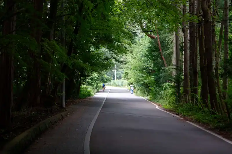 冨士浅間神社の奥から舗装路に戻って歩いていく。
奥の左側を歩いている人物が、このあと五合目まで一緒に歩くことになったフランス人語学留学生。
日本語はそこそこ喋れて、いろいろなことを話しながら歩いた。
他の山でも見かけた方がいらっしゃったら良くしてやってください。ほんと、いいヤツですよ。
ところで、このフランス人留学生はかなり慎重派なのか、最近の安易な富士登山に対するバッシングを受けてか、前後泊で富士山に登るという。
かなりしっかりとした計画だ。荷物は重そうだったけど、体力もあるし彼なら問題なく富士山に登れるだろう。