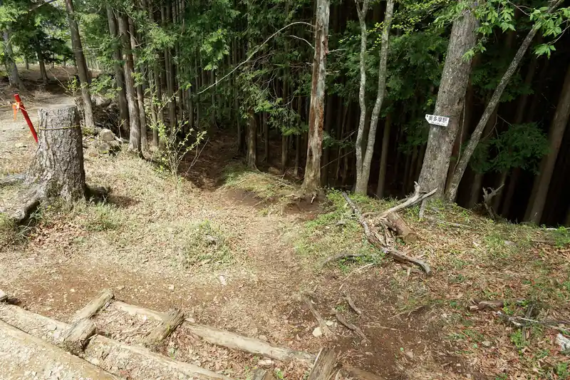 ここから樹林帯へ突入。石尾根の終わりももう近い。