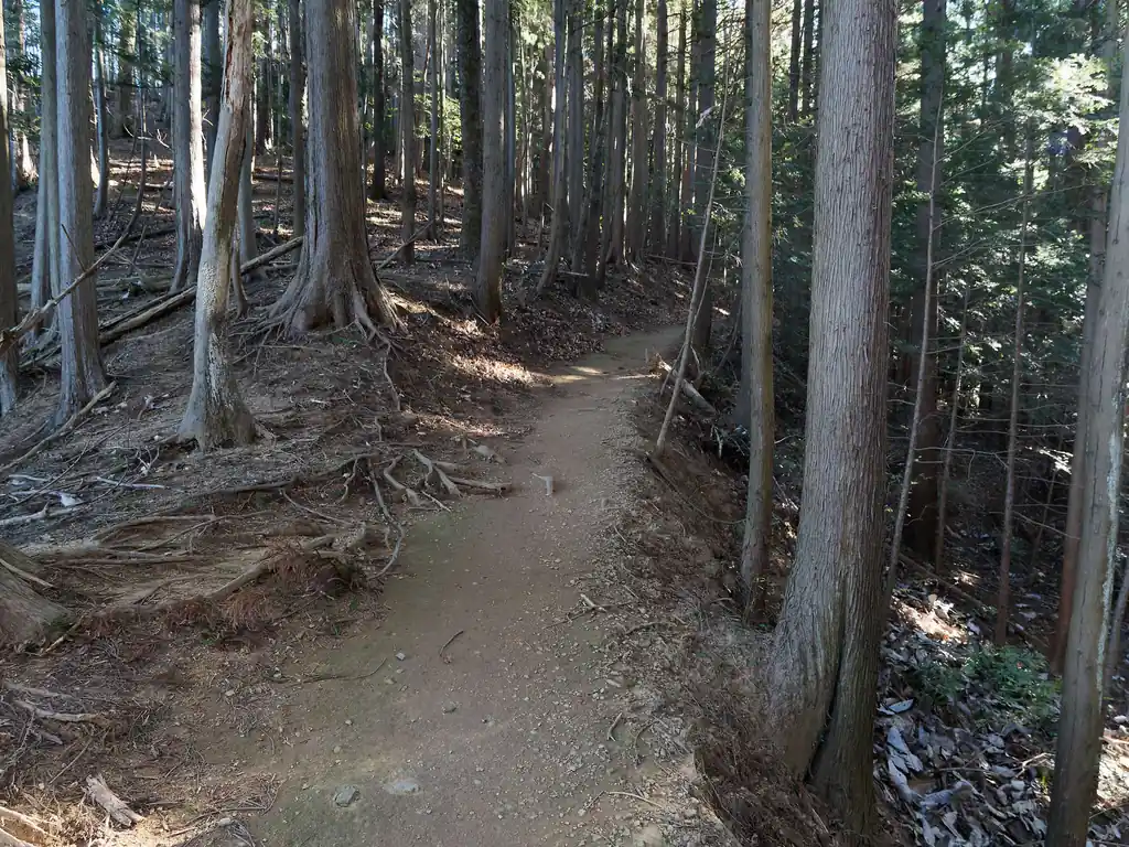 石地蔵からしばらく歩いていると、急に登山道から落ち葉がなくなった。掃除する人がいるのかな、と思ったけど、たぶん風で飛ばされただけだろうな 