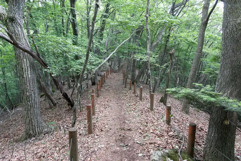 惣岳山から御前山までの道は植生保護のため木柵に囲まれた道。
ここまで来ると遊歩道みたいな道。