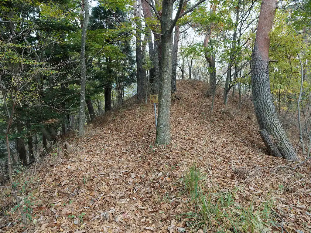 左の道から歩いてきて富士見台についたので、今度は右の方を歩いてみる。しかし落ち葉で登山道がどこなのかわからない。
まあ、適当に歩いてもなんとかなるくらいわかりやすい地形である。