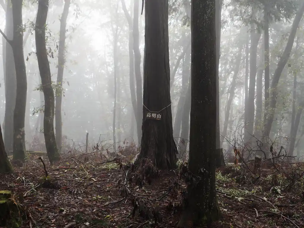 あたりを見回していたら、別の気に新しい山頂標が吊るされていた。