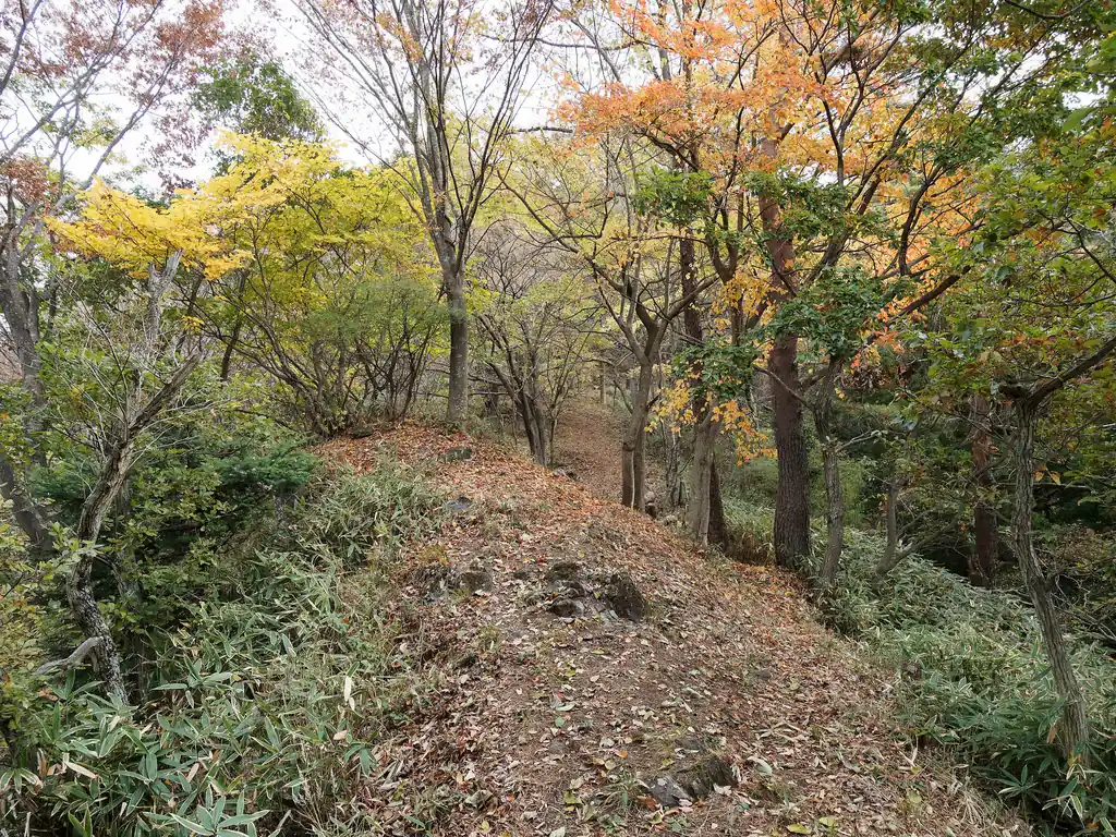 この道は最初から急坂が続く。
植林っぽくない道の雰囲気が良い。