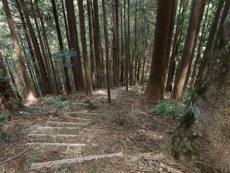 下って行くと階段が出てきて確かに道になっているとわかる。
しかしこの下りがなかなか急で大変でした。張られているロープにしがみついてなんとか降りれた、という感じ。