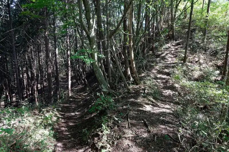 右も登れそうだが、行ってもなあ…と思ったので普通に左の巻き道を歩く。
