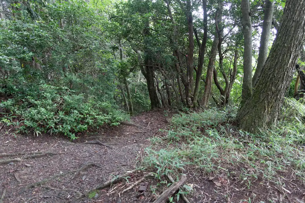 武川岳、と書かれている指導標の方向にもピンクリボンのある道があって、ここからも焼山方面へ行ける模様。私はこっちは歩いたことないからわからないけど、行けそうな気がする。