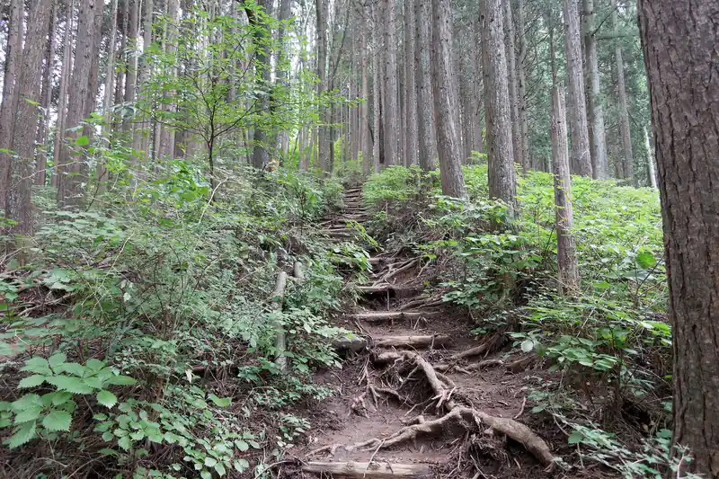 龍ノ髭から下っていって、日の出山へ登り返し。
日の出山といえば、金毘羅尾根を歩いていくと最後に長くつらい階段があるが、どこから登ってもきついんだな…日の出山。