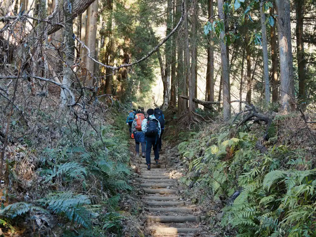 前回9月に登った時は渋沢駅から大倉バス停行きのバスはガラガラ。登山者もいるにはいるが、空席があるほど空いていた。やはり暑い時期は丹沢オフシーズンらしい。

今回はバスは満員ではあったものの、寿司詰め一歩手前といった満員具合でギリギリ許容範囲内。