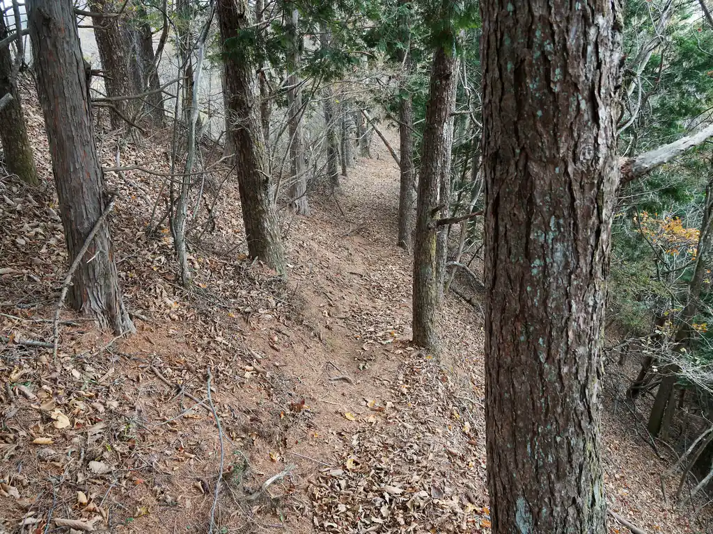 降りてみると、どうもこっちが登山道だったみたいだ。
どこかで稜線歩きから少し下につけられた道に行く必要があったみたいだけど、どこにその分岐があったのかわからない。