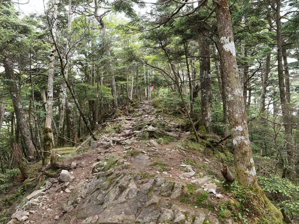 ヒーヒー言いながら登っていくと、いよいよ大菩薩嶺山頂。もう少しだ～