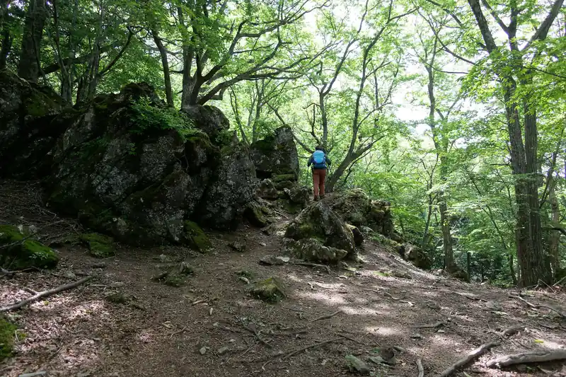 また岩が出てくるが、この巨石は左右どちらでも巻ける道があった。