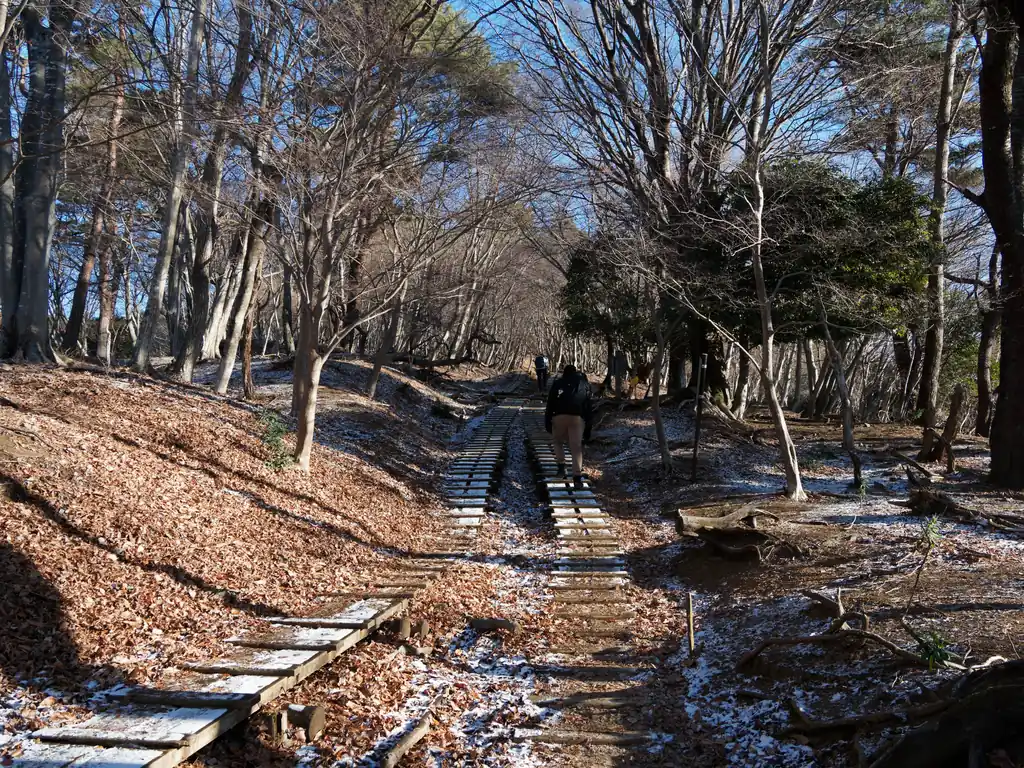 ここからボチボチ登っていく。まだこの辺りは大倉尾根らしくない歩きやすい斜面が続く。