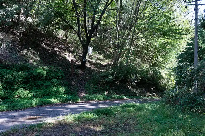 途中舗装路に出て向かいの登山道へ戻る。