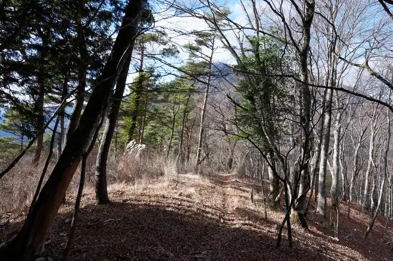 木が邪魔でよく見えませんが、奥に見える山が御正体山かな。