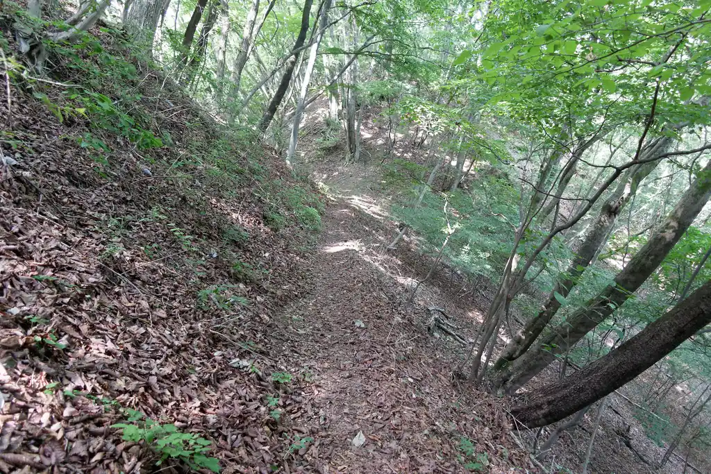 この下山路は歩けるか少し心配だったのですが、まったく問題ありませんでした。
笹尾根を歩く人はこの浅間峠で分割する人が多いのか、この道は割と歩かれている模様です。