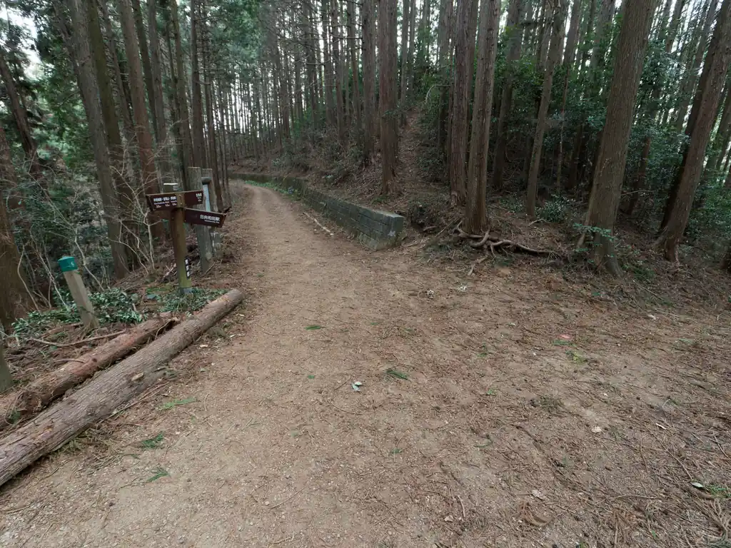 さて、この三叉の分岐で登山道はおしまい。
後は半ば舗装路とかした遊歩道を歩いて青梅駅まで向かいます。