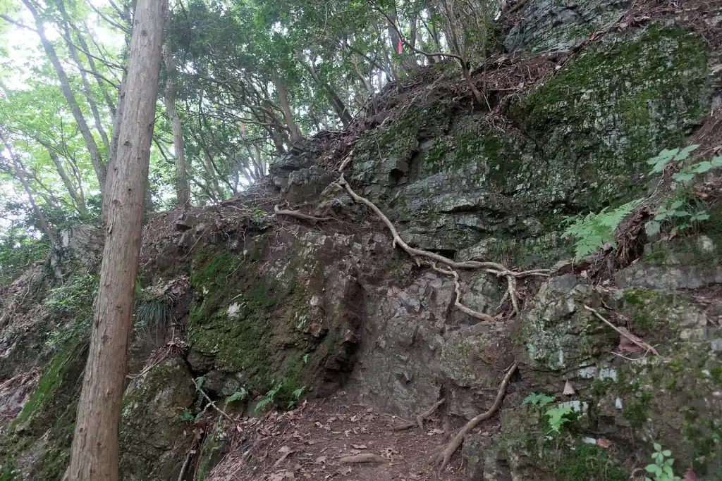 雄岳へ向かうにはこの岩場を降りてきます。地味に緊張感がある道ですが、雌岳山頂手前に、雌岳を迂回してくる脇道があって、そこを歩くとこの岩場もショートカット可能。
ロープはないので、木の根っこに掴まりながら降りてくる感じになります。