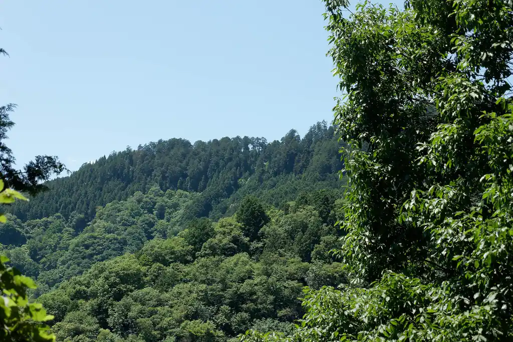 写真中央あたりが三峰神社っぽい雰囲気。